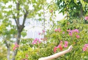 观看355.fun，边吃瓜边感受各路神仙的日常，哈哈！