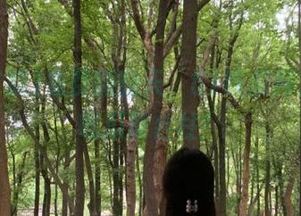 免费嗨翻天，51吃瓜网址变身吃瓜新台柱！