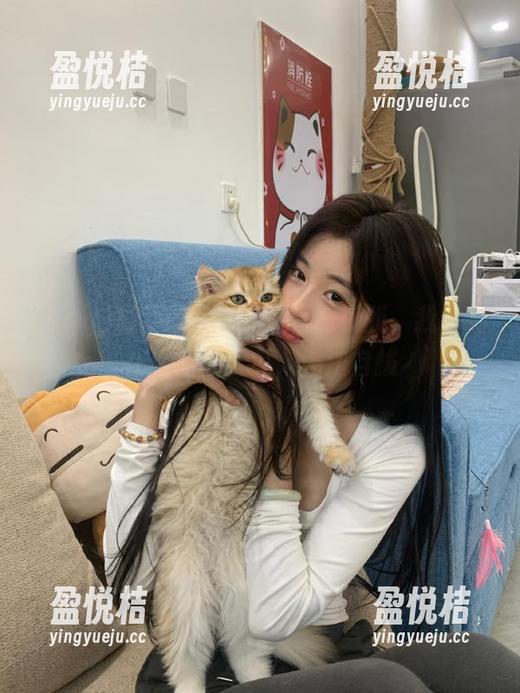最新的cggolive网页版，我已经在这儿恰着瓜，无法自拔