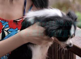 下载zztt88.ccm的时候，不小心点中了黑料，心里直犯嘀咕？