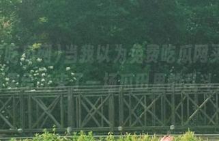 当我以为免费吃瓜网买瓜，结果给我来了一场瓜田里的乱斗。