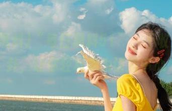 “每日黑料51”，不收费的八卦，让你轻松成为话题中心