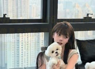 上“166.run黑料不打烊”网址就像是走进充满来回交错的暗巷，有惊喜，也有一丝毛骨悚然…