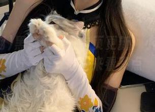 黑料网今日首页更新：小宇宙爆发，网友们快来看亮点